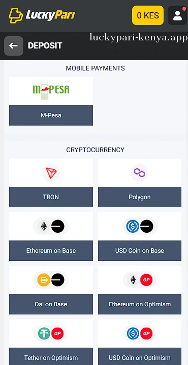Deposit options including crypto